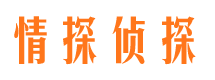 七星市侦探公司